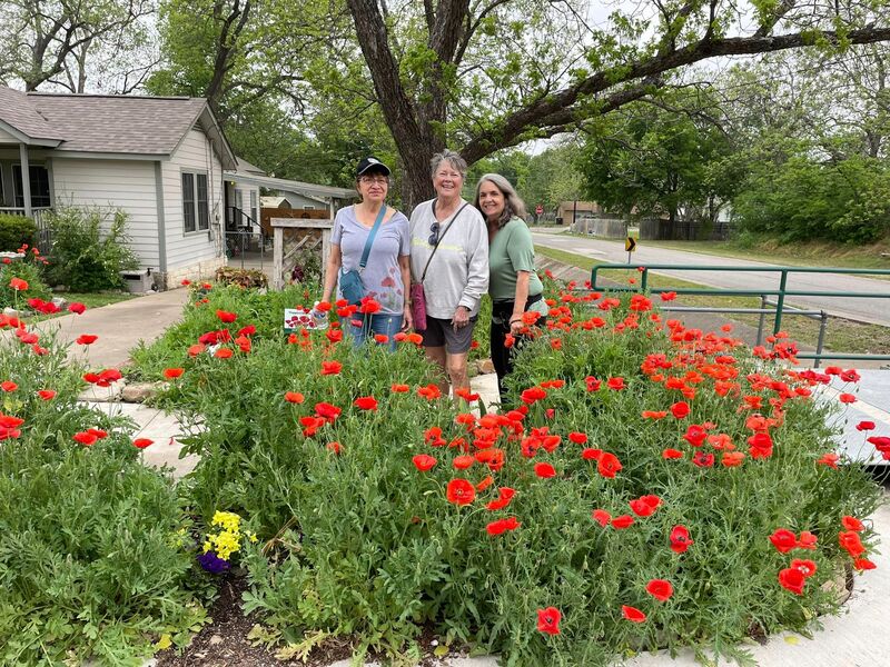 Walk and Talk among the poppies in April.  